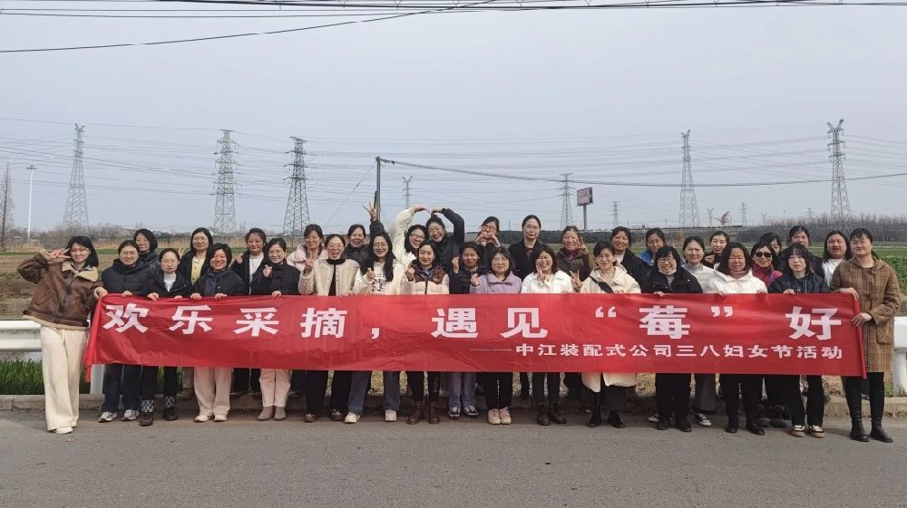 我司组织